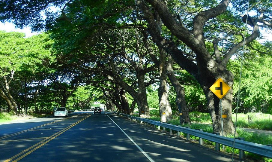 The Road to Lahaina on Maui, Hawaii