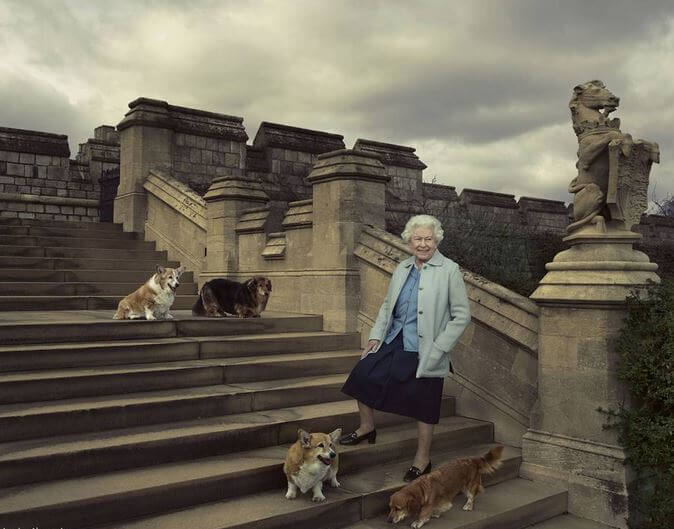 Queen Elizabeth and her Corgis and Dorgis