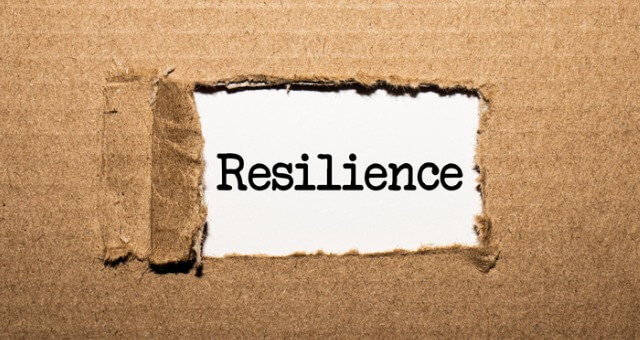 Resilience for Entrepreneurs during Good and Tough Times