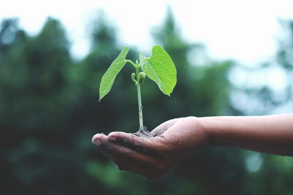 Wealth Mindset - Abundance Paradigm