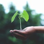 Wealth Mindset - Abundance Paradigm