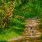 Letting Go of Materialism