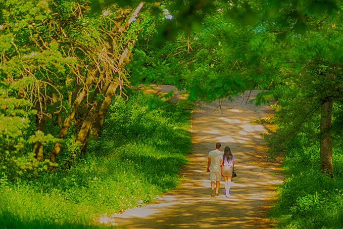 Letting Go of Materialism