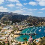 Summer of Catalina Island