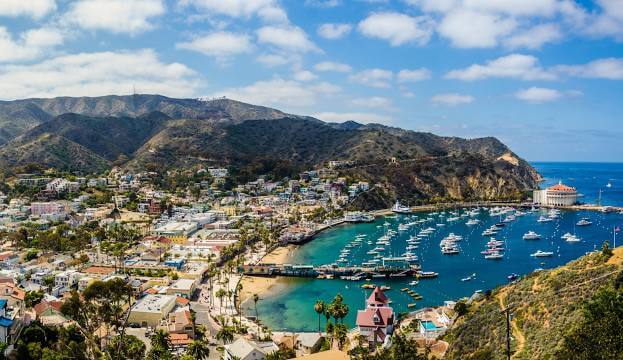 Summer of Catalina Island
