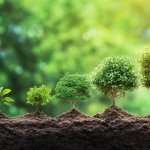 The Cul De Sac on Laplante Way