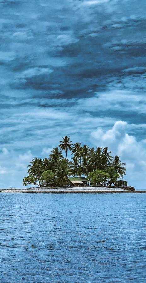 Don't get voted off the island!